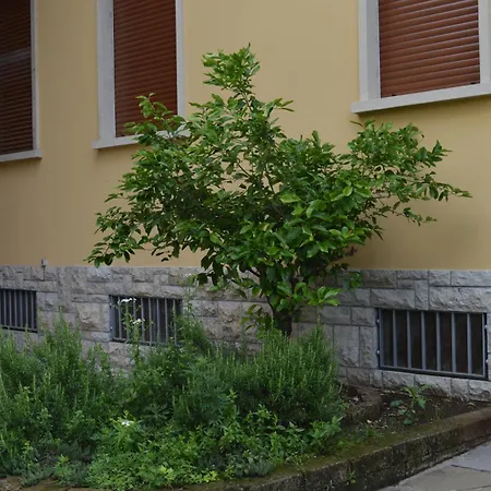 Podere San Marco Trilocale Delux Cod 1 Apartment