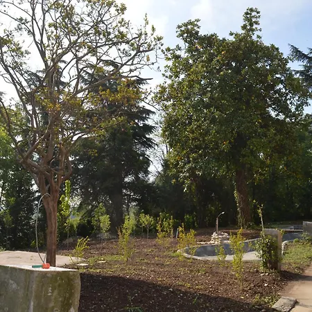 Podere San Marco Trilocale Delux Cod 1 *